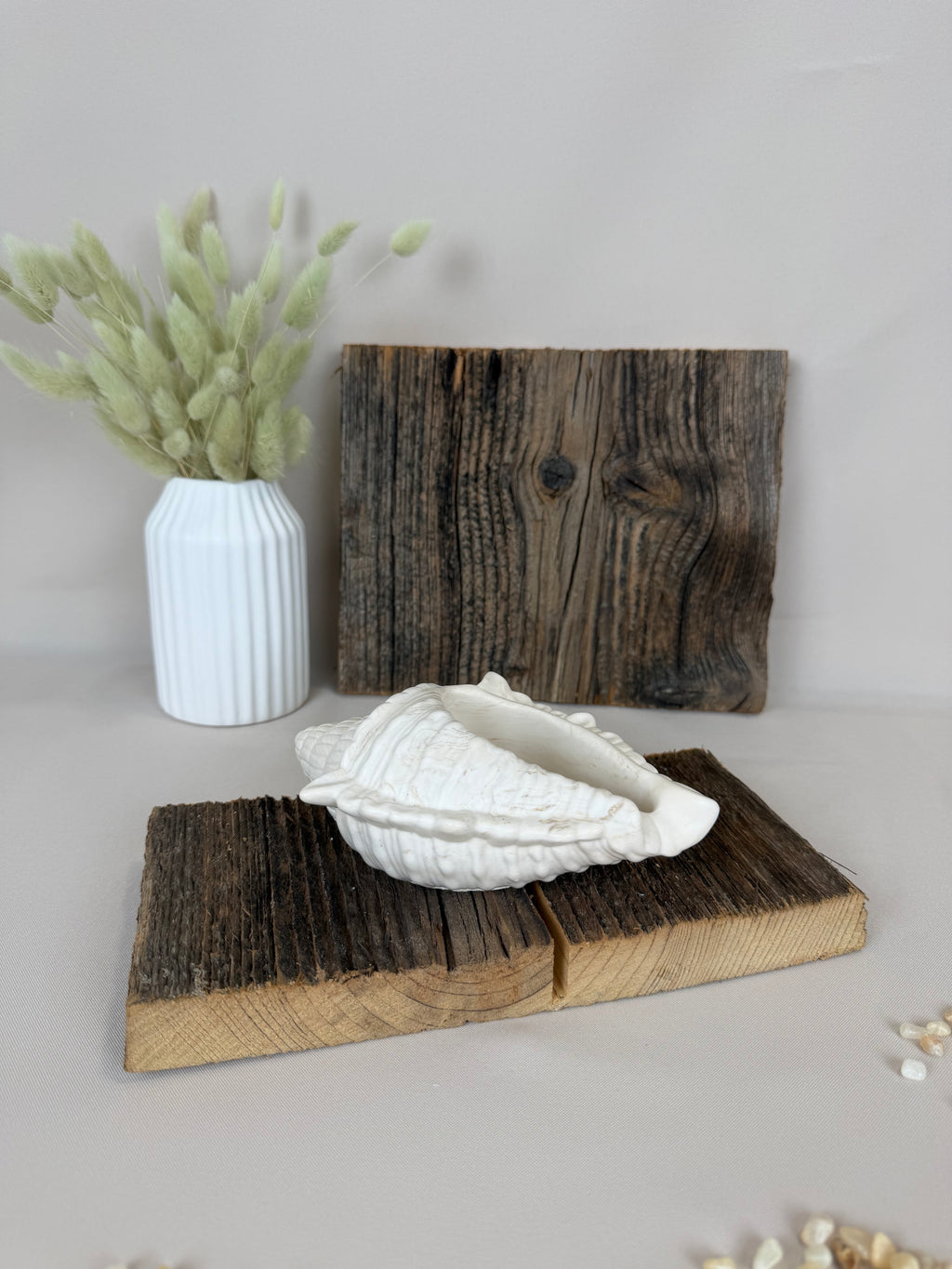CONCHA – Organische Jesmonite Schale